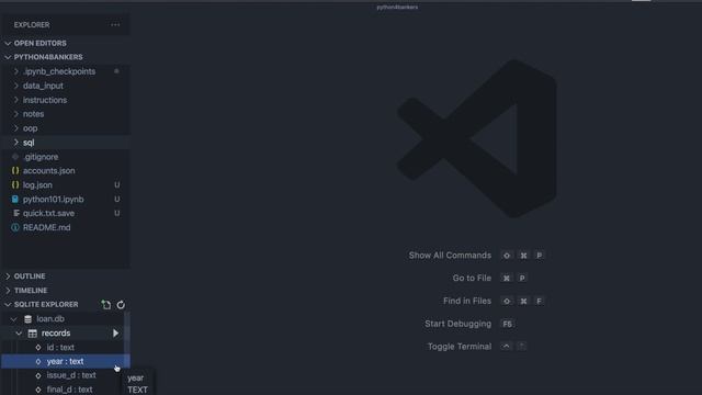 SQLite in VSCode (open db, run query, view results) demo смотреть онлайн