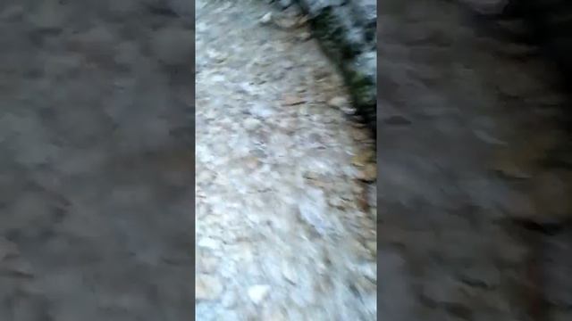 Путешествие по кристально прозрачной горной речке. смотреть онлайн