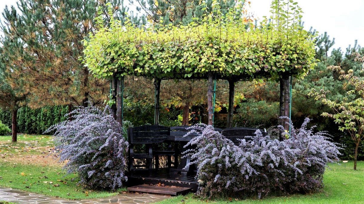 ?Источник вдохновения Оригинальные садовые идеи / Creative garden ideas / A - Video смотреть онлайн