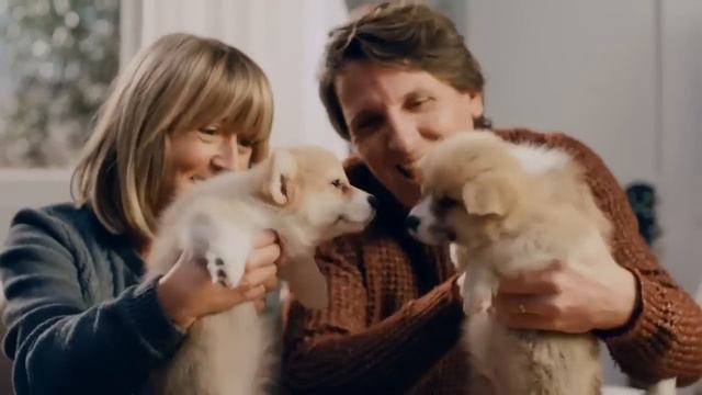 Щенята в рекламе печенья