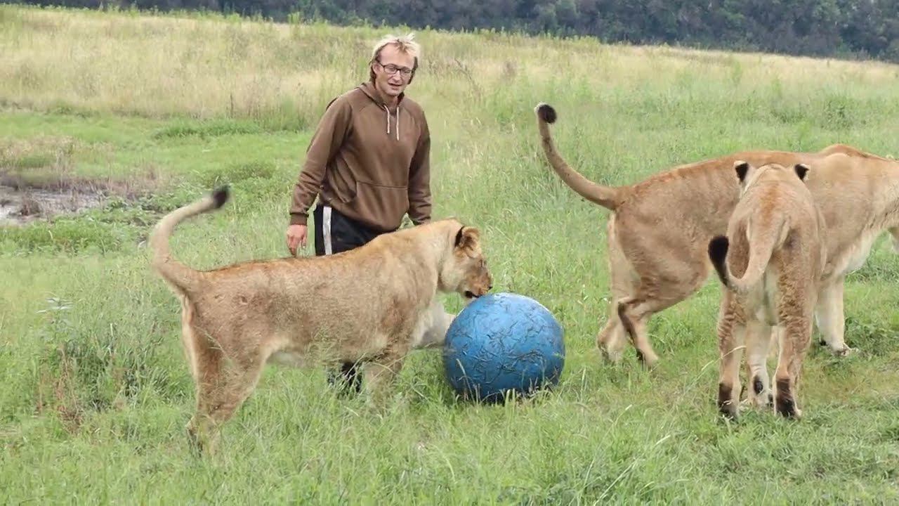 Лёша и коты. Как здорово, когда есть оператор! смотреть онлайн