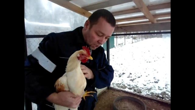 Зима пришла//Жизнь в деревне смотреть онлайн