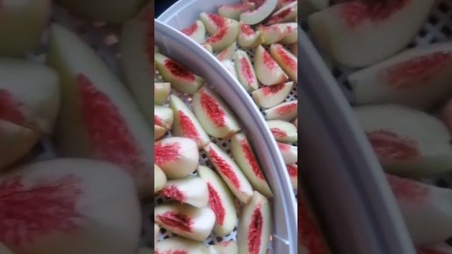 Ура! Персики! смотреть онлайн