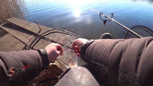 Апрельский лещ . Фидер на кладке . Часть 1я. смотреть онлайн