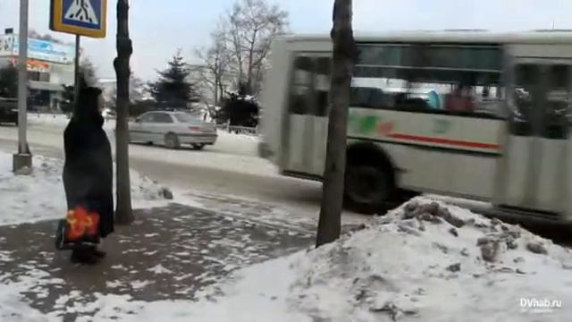 На Биробиджан обрушился сильный ветер смотреть онлайн