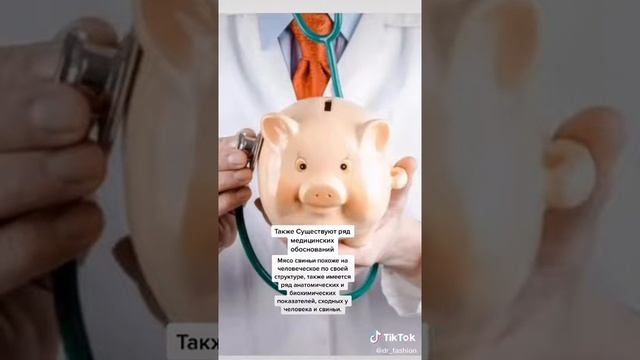 Почему мусульмане не едят свинину смотреть онлайн