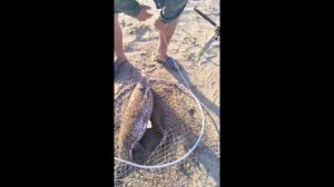 РЫБАЛКА БУХАЛКА