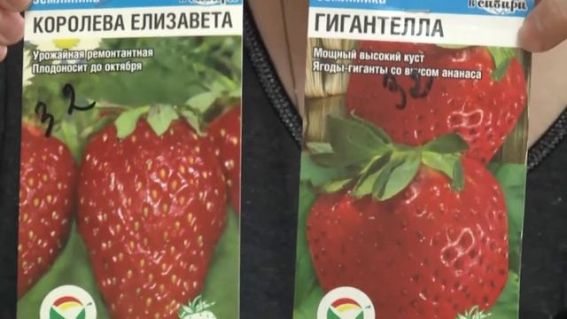 2021 02 04 ВО САДУ И В ОГОРОДЕ смотреть онлайн