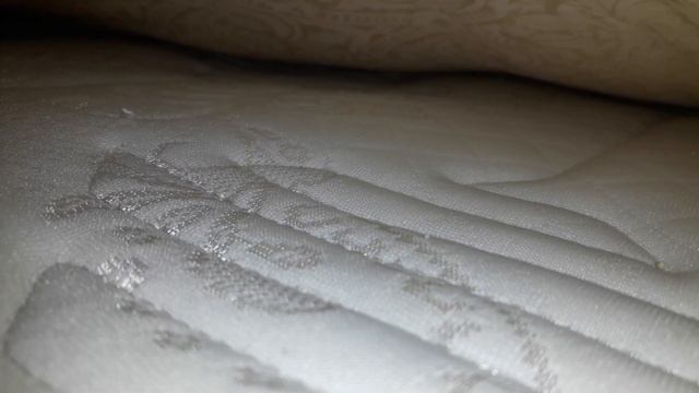 За 3 Миллисекунды избавиться от клопов! смотреть онлайн