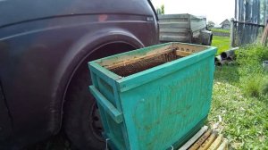 Делюсь секретами. Как поймать бродячий рой пчел. (1 часть ловушки и рамки)