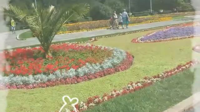 Я была вАлмате ?😊 Почему нет видео ? 🗻Я заболела 😷💊💉 смотреть онлайн