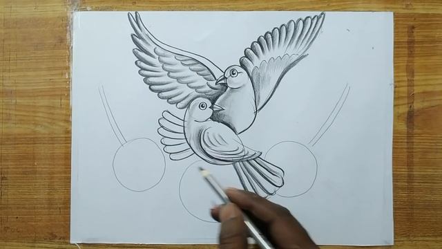 how to draw a pigeon and rose flowers with pencil sketch,how to draw birds and flowers,bird drawing смотреть онлайн
