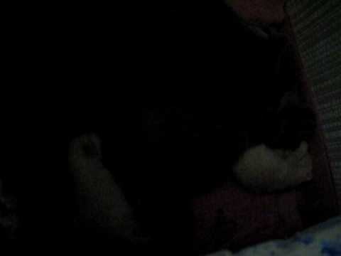 0 030.avi смотреть онлайн