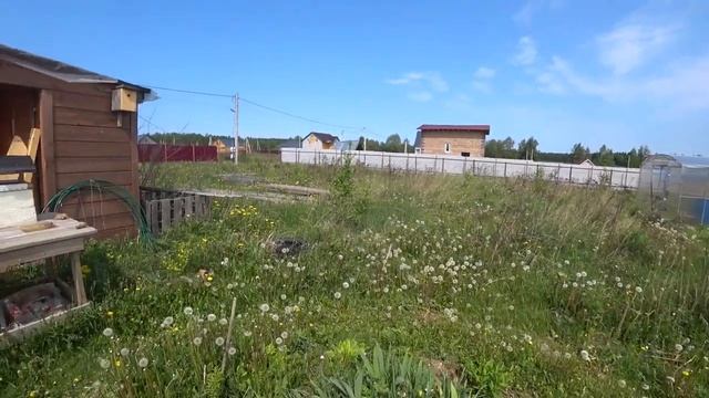 175. Картошка и воздушные змеи смотреть онлайн