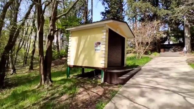 Сочи Прогулка в Дендрарий смотреть онлайн