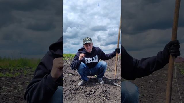 А ты любишь дачу? #жиза #юмор #дача #огород #прикол #funny #jokes #смешно #ржака #смех @CeldereyC смотреть онлайн