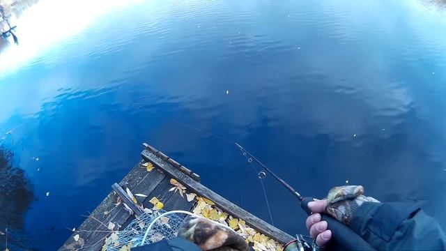 Ловля щуки на воблер TsuYoki CHANCE 130SP. Озеро Королёк Киев -.Здолбуновская 2 смотреть онлайн