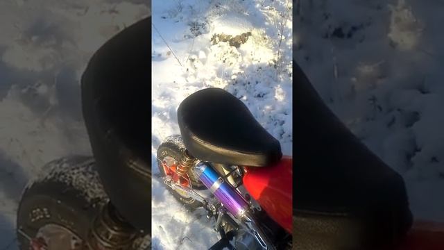 Honda Monkey 50cc soundcheck смотреть онлайн
