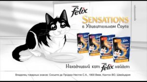 Акция от Felix