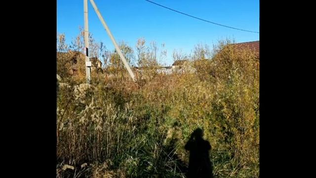 Продажа участка 10 соток в Каменке. Собственник. 8 (909) 784-46-09 Наталья смотреть онлайн