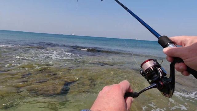4K 28/02/2023 Ashkelon אשקלון Ашкелон fishing דיג рыбалка смотреть онлайн