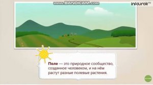 Поле   природное сообщество