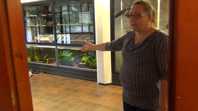 Финская школа о религиоведении. Уроки толерантности смотреть онлайн