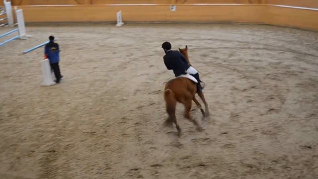 Конкур в КСК Пегас Андрей/Ирбис (высота до 100см) 28.01.2018г смотреть онлайн