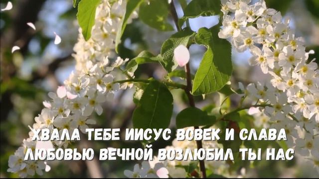 на сердце радость и покой...света путь смотреть онлайн