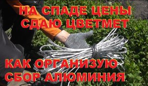 Как организую алюминий. На спаде цены сдаю алюминий.