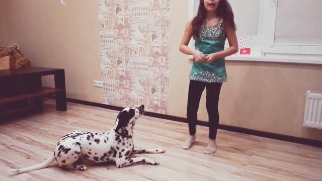 #YULICA_VLOG  как я дрессирую Монику, далматин