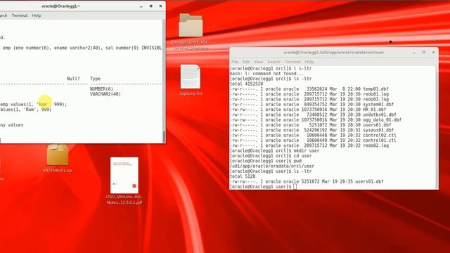 Oracle DBA New Features 12c Invisible Column смотреть онлайн