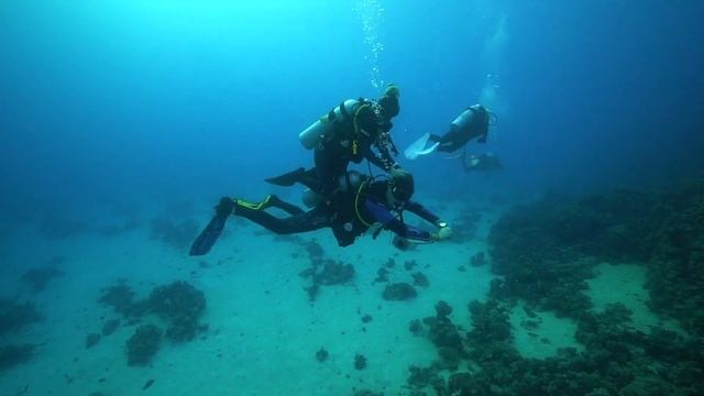 D2U club - Дайвинг сафари - Юг Египта - остров Small Giftun смотреть онлайн