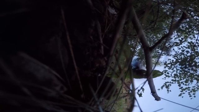 Racer RC250XZR \ Обрыв \ Расхлестался смотреть онлайн