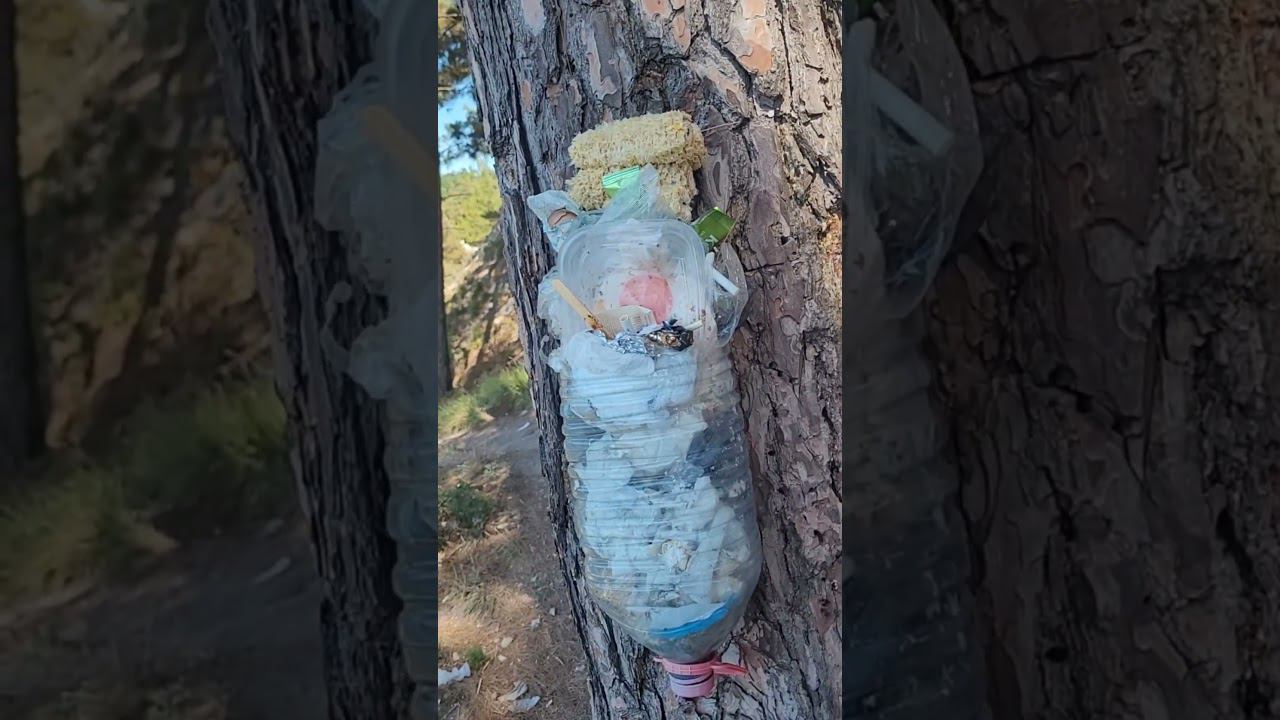 Людям посвящается. Не будьте недоносками, доносите мусор до мусорки. смотреть онлайн