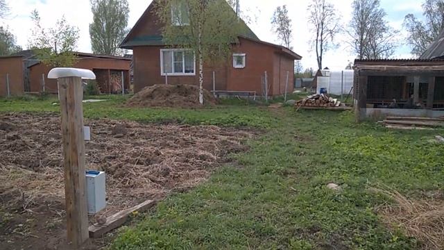 Коровы не хотят пастись на поле// Сажаю огород//Теплица рассада// смотреть онлайн