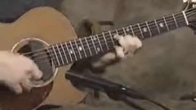 Phil Keaggy-Addison's walk смотреть онлайн