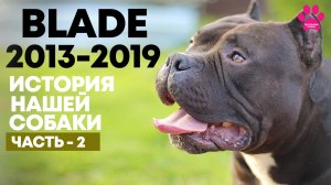 История жизни и смерти Блэйда. Редчайшая смертельная болезнь. Лейшманиоз [Часть 2 из 2]