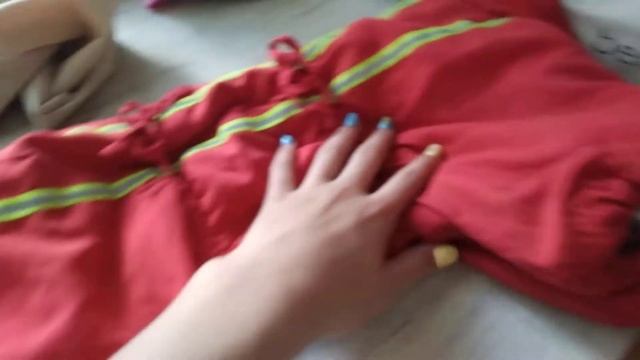Обзор на одежду и амуницию моей собаки смотреть онлайн