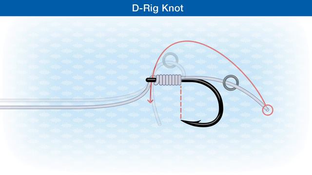 How To Tie The D-Rig Knot смотреть онлайн