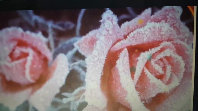 загадочное= волшебства снежной феи -3 смотреть онлайн