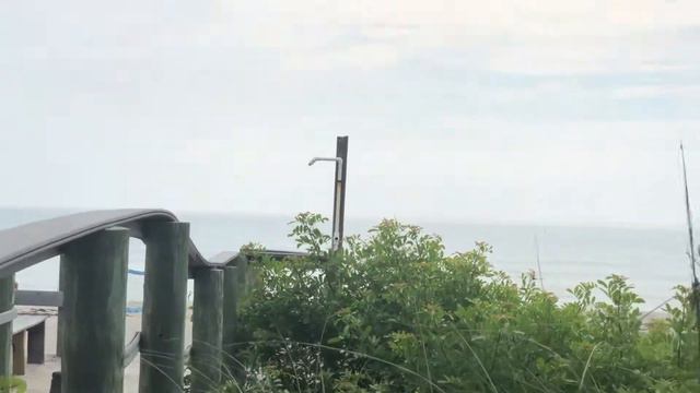 Американский завтрак BLT Бутерброд и омлет смотреть онлайн