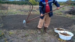 посадка иван-чая