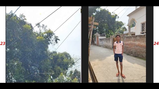 Samsung S24 Vs S23 Camera Test - এখনো সেরা ?