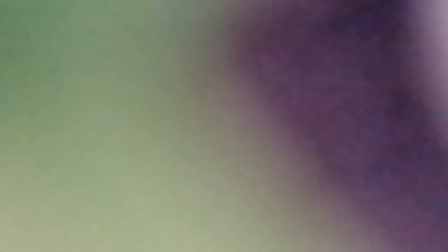 ответка ТИК ТАКУ. ГРИБЫ ТОП кто не понял в описание #папагриб смотреть онлайн