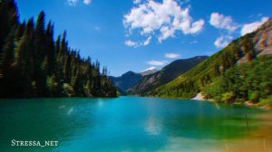 Исцеляющая китайская музыка от простуды