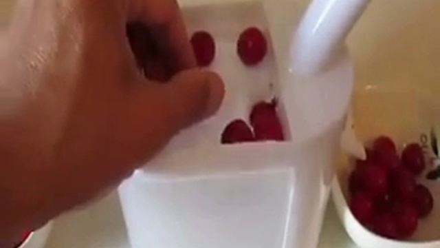 Приспособление для удаления косточек BIOWIN (вишнечистка Чери Стонер)