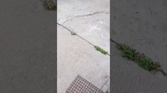 😁😁😁Хотел показать инструмент новый🤣🤣🤣