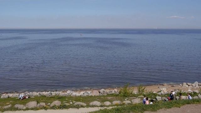 00080 Вид с насыпи парка на Финский залив смотреть онлайн