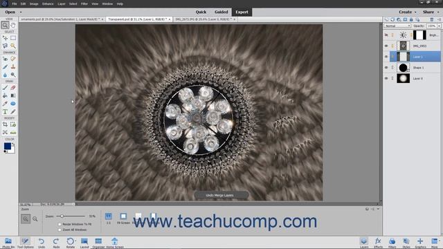 Photoshop Elements 2021 Tutorial Merging Layers and Flattening Layers Adobe Training смотреть онлайн